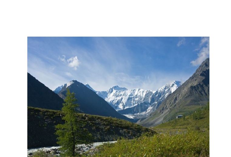 Алтай табиғатының алапатын асырады