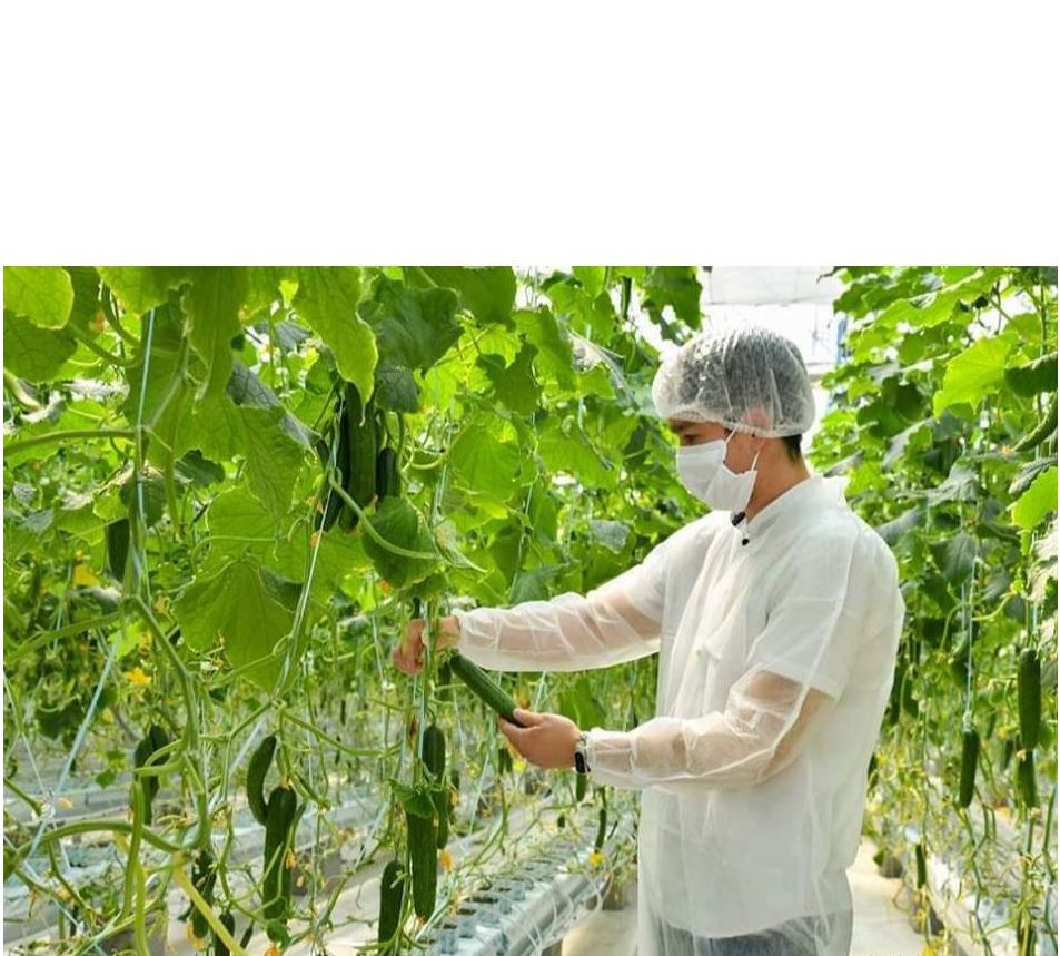 Агросектордың орталығына айналады