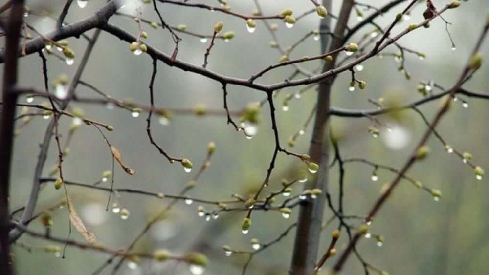26 сәуір: Қазақстанда ауа райы құбылмалы