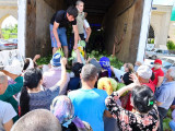 Шымкентте бір күнде 63 тонна қырыққабат тегін таратылды