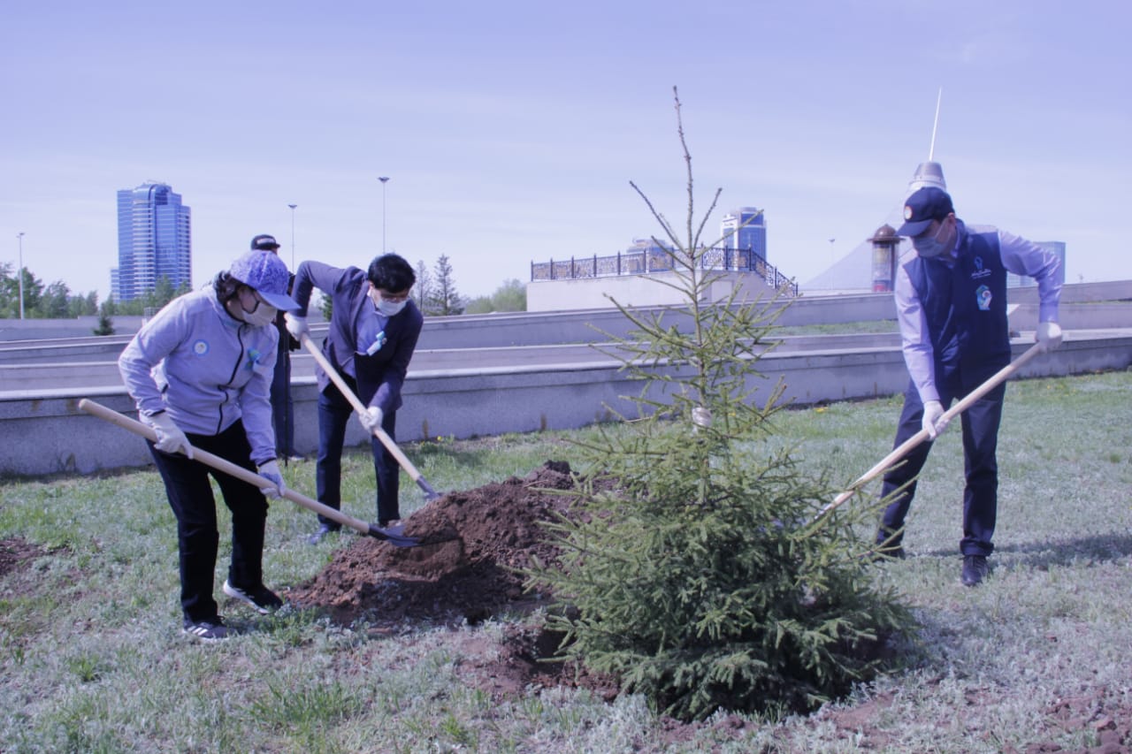 Ақтоты Райымқұлова мен Алтай Көлгінов тал екті