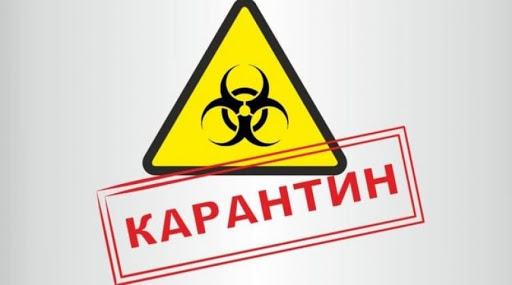 Шығыс Қазақстан облысында карантин 1 маусымға дейін созылады
