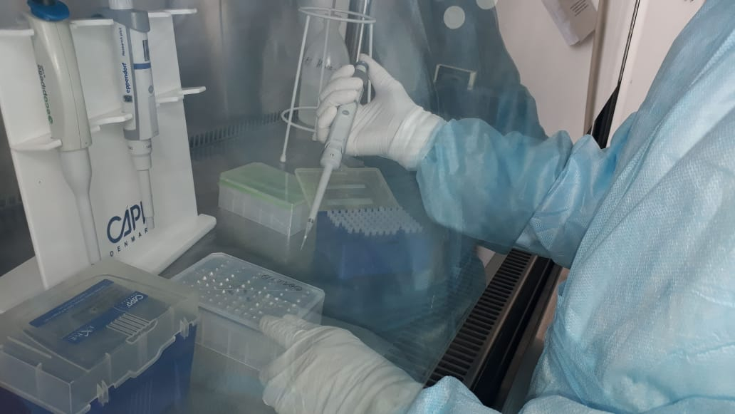 Түркістан облысы: COVID-19 инфекциясын ерте анықтайтын үшінші вирусологиялық зертхана ашылды