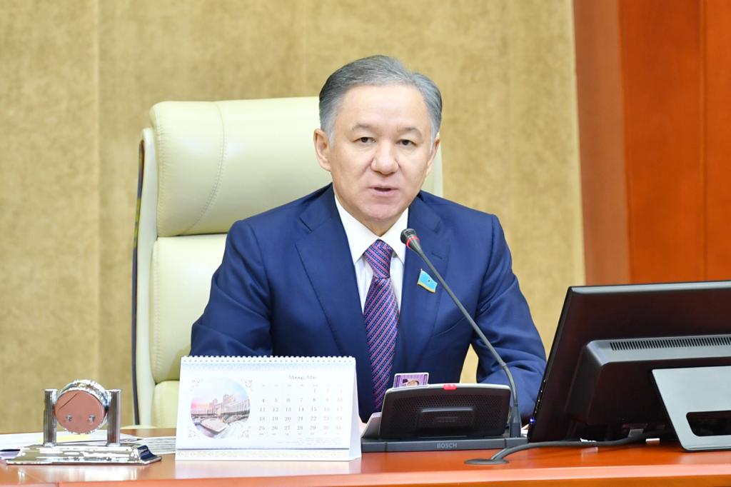 Н.Нығматулин: Мәжіліс депутаттары әзірлеген заң жобаларының саны артты
