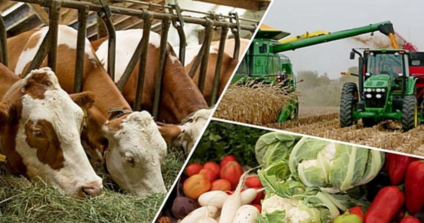 Кооперациялар агроөнімді көбейтеді