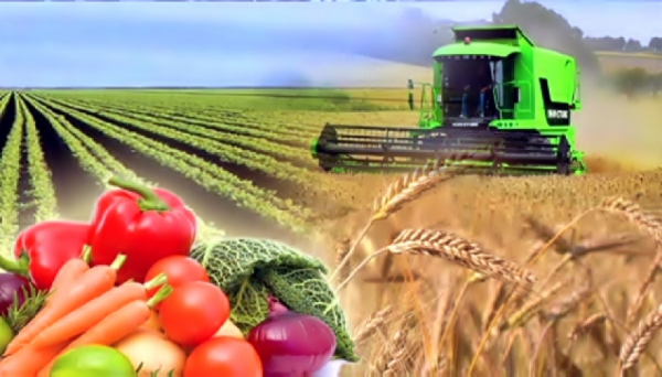 Коронавирусқа қарамастан агроөнеркәсіп тұрақты дамып келеді