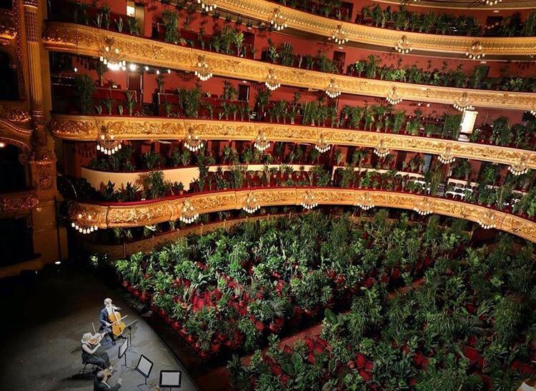 Барселоналық театр концертіне тек өсімдіктер қатысты