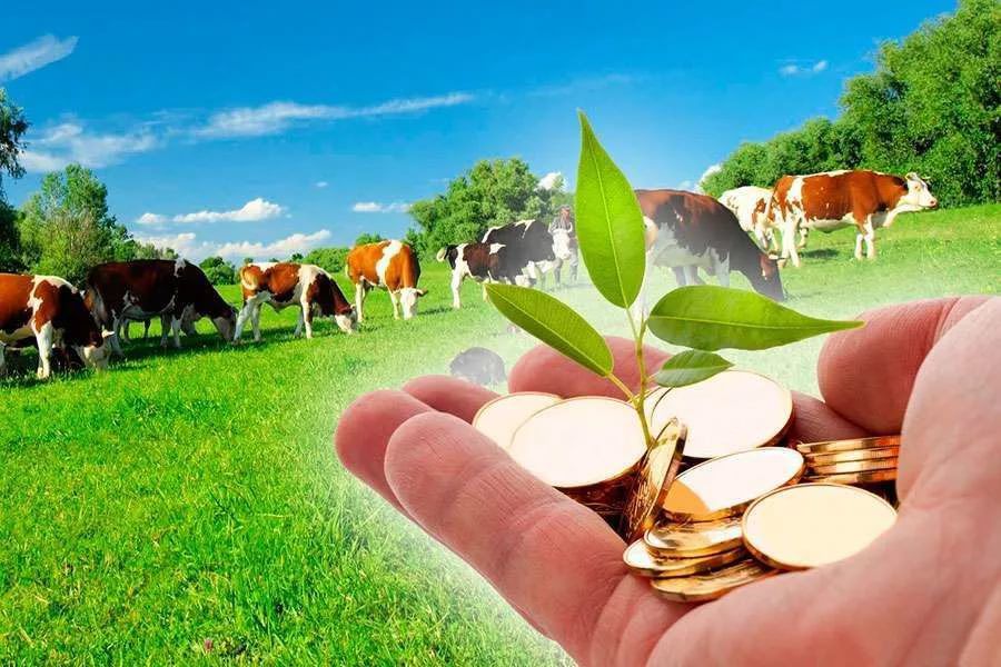 Ауылдың көсегесін кооператив көгертеді