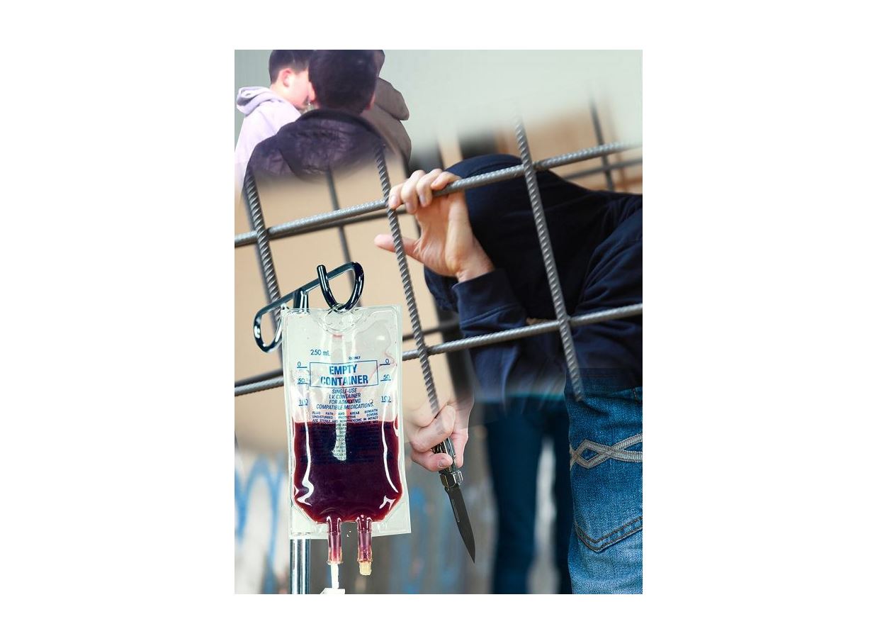 Қайғыдан қан жұтқан отбасы көмек сұрайды