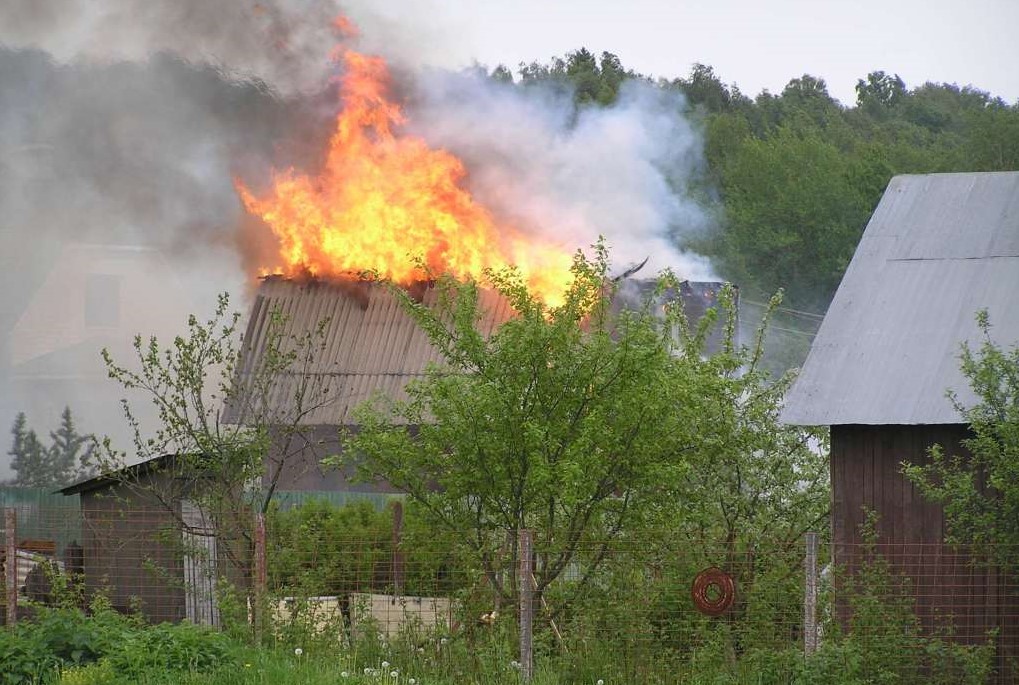 Павлодар облысында наурыз айынан бері 108 саяжай жанып кеткен