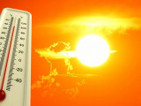 Еліміздің төрт облысында 43 градусқа дейін күн ысиды