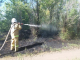Қостанай облысында орман өрті жиілеп кетті