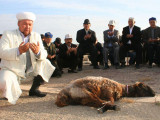 Бүгіннен бастап қазақстандықтар онлайн құрбандық шала алады
