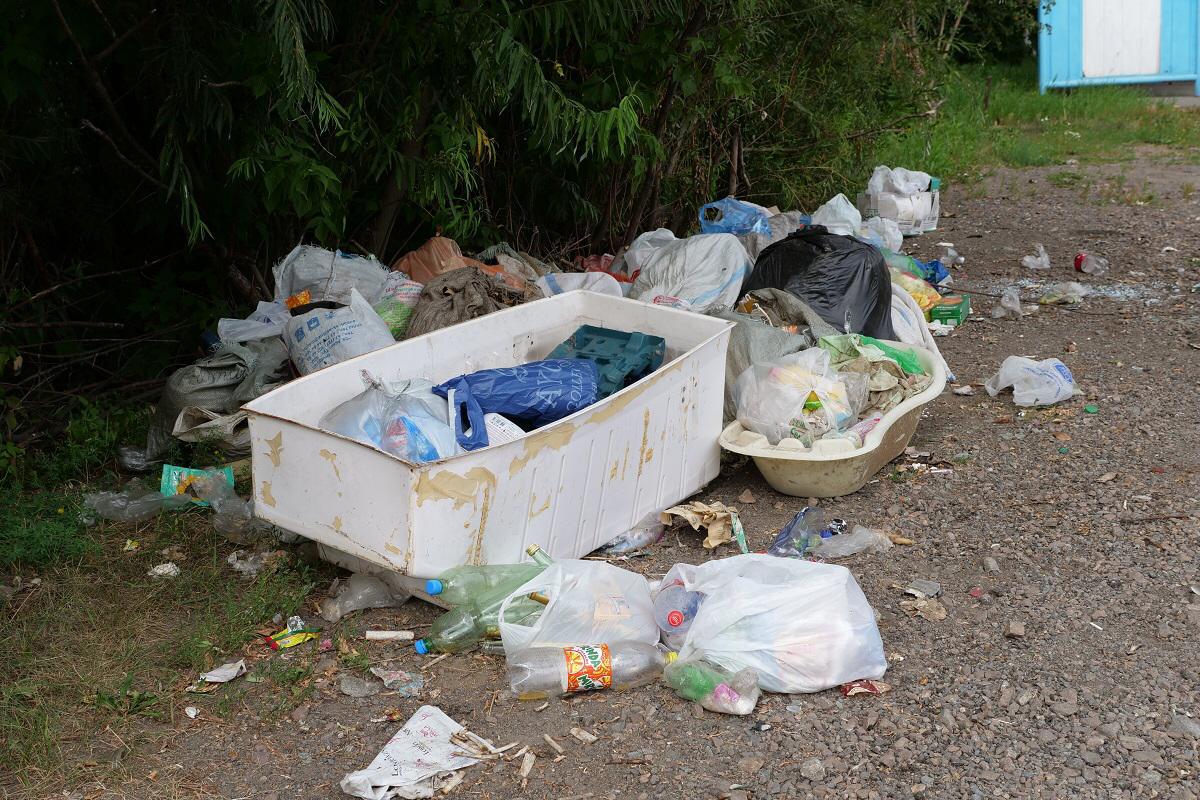 Саяжайда тазалық сақтамаған 600 петропавлдық жауапқа тартылды