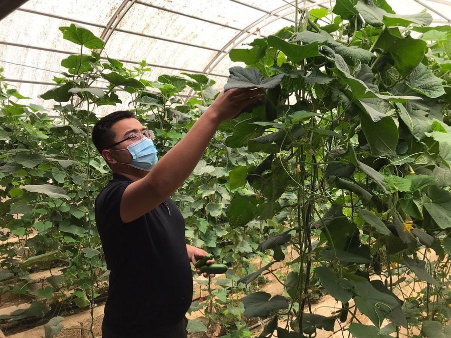 Алыстан арбаламайды