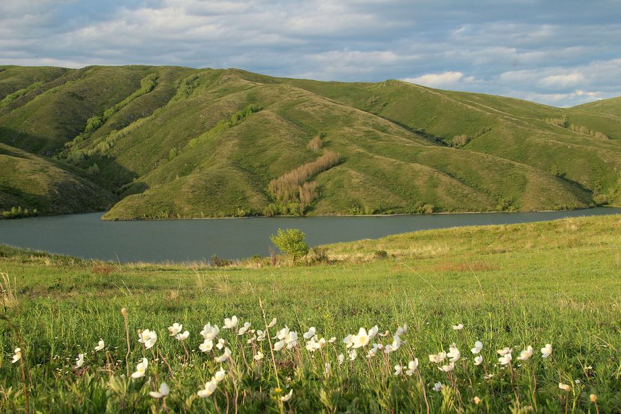 Ертіс өзенінің алқабы ерекше қорғалмақ