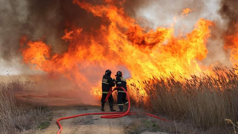 Каспий теңізінің жағалауындағы қамыс өртеніп жатыр