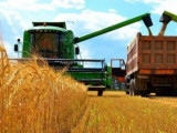 Елімізде егінді отандық техникамен жинауда