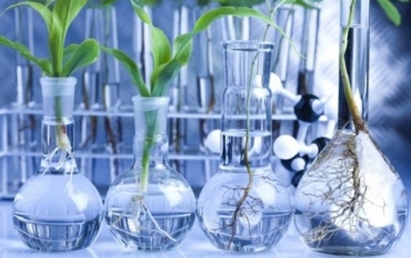 Инновациялық жасушалық технологиялар жоғары бағаға лайық