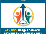 Шымкентте "Еңбек" бағдарламасы аясында 20 мыңнан аса адам жұмыспен қамтылған