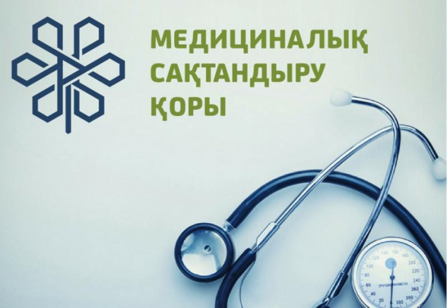 Медициналы сақтандыру қоры 67 мыңнан астам кемшілікті анықтады