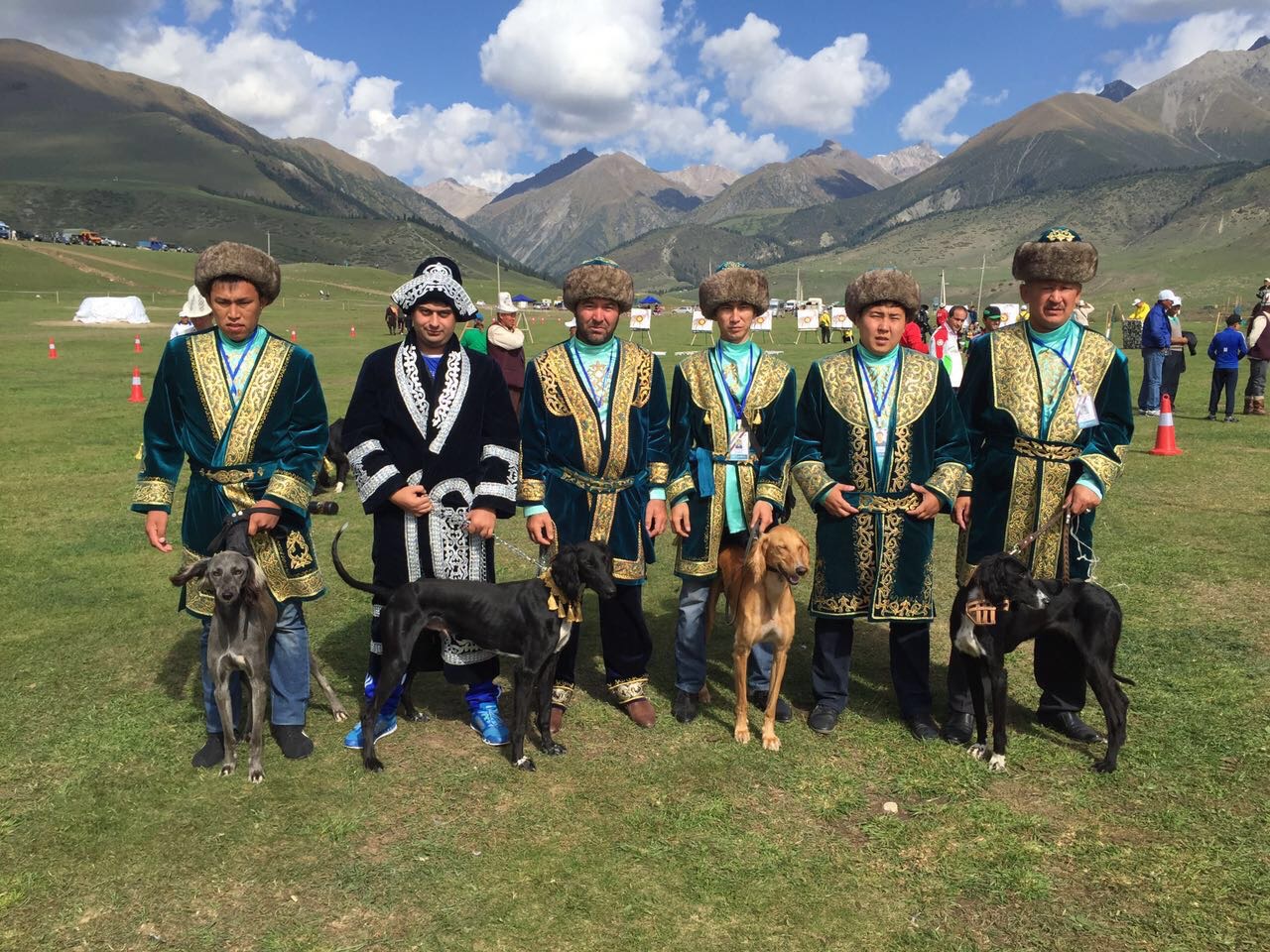 Қазақы иттерді ұлттық спортқа икемдеу қажет