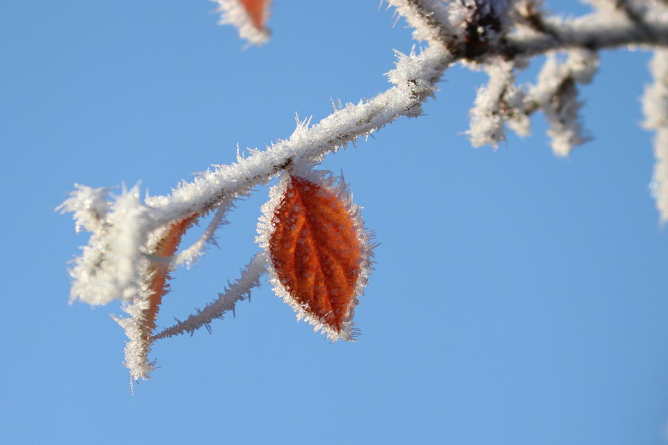 Алдағы күндері Қазақстанның басым бөлігінде қар жауады