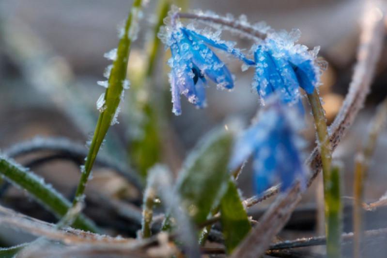 Бүгін Қызылорда облысында үсік жүреді