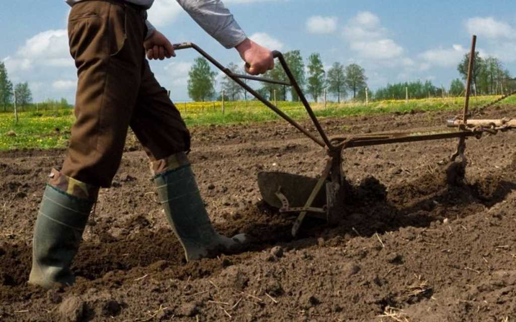 Қостанай облысында 16 жастағы бала топырақ астында қалып, көз жұмды