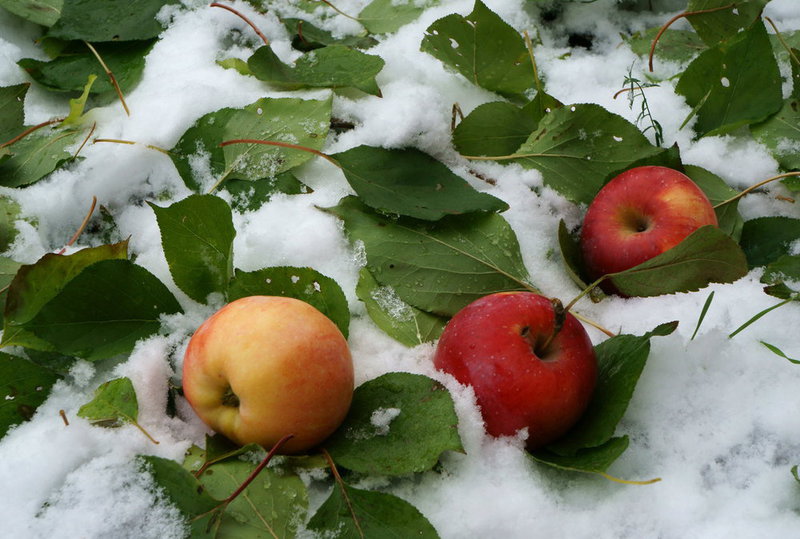 Нұр-Сұлтанға алғашқы қар түсті