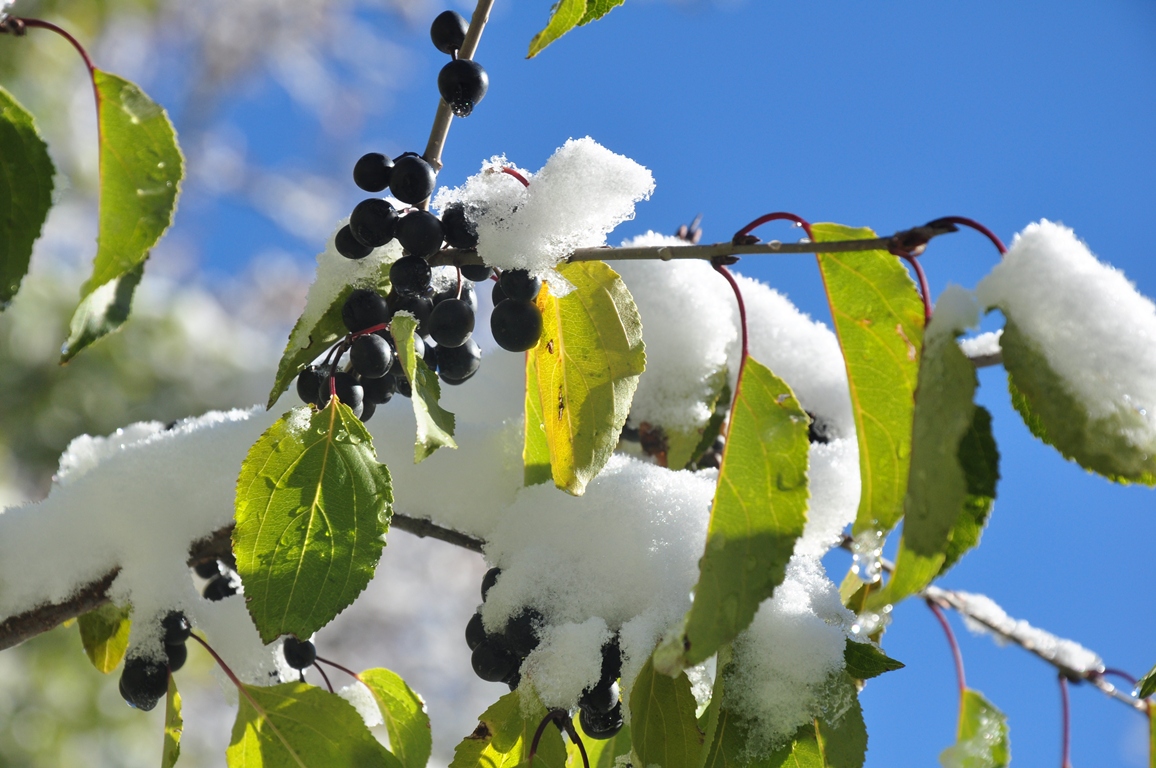 Алдағы үш күнде қар жауып, көктайғақ болады