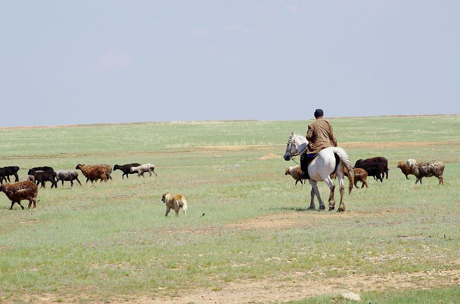 Белсіздік пен бедеуліктің себебі