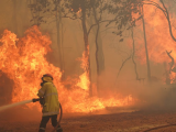 Аустралияда өрт қайта басталды