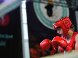 Үш қазақстандық боксшы халықаралық турнирдің жартылай финалына шықты