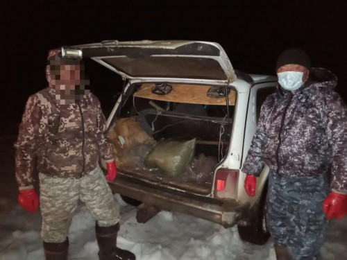 ШҚО-да 5 тоннадан астам балық тәркіленді