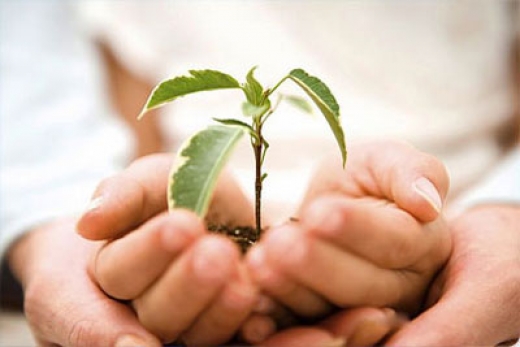 Үлгі болар игі іс