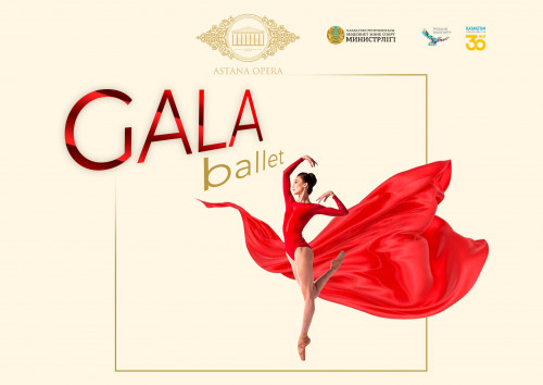 Гала-балеттер: би көркемдігі