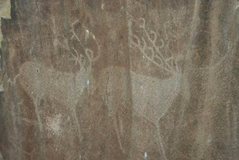 Арқарлы асуындағы петроглифтерді сақтау мемлекеттік органдардың бақылауына алынды