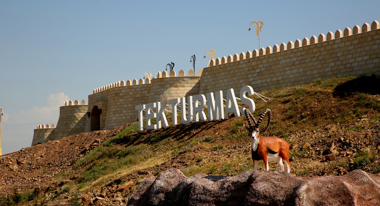 Тараз тарихын танытатын туынды