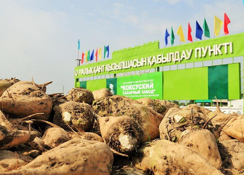 Қант өндірісінің қауқары қандай?