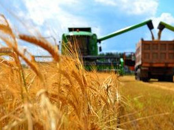 Агросекторды қолдау қарқын алады