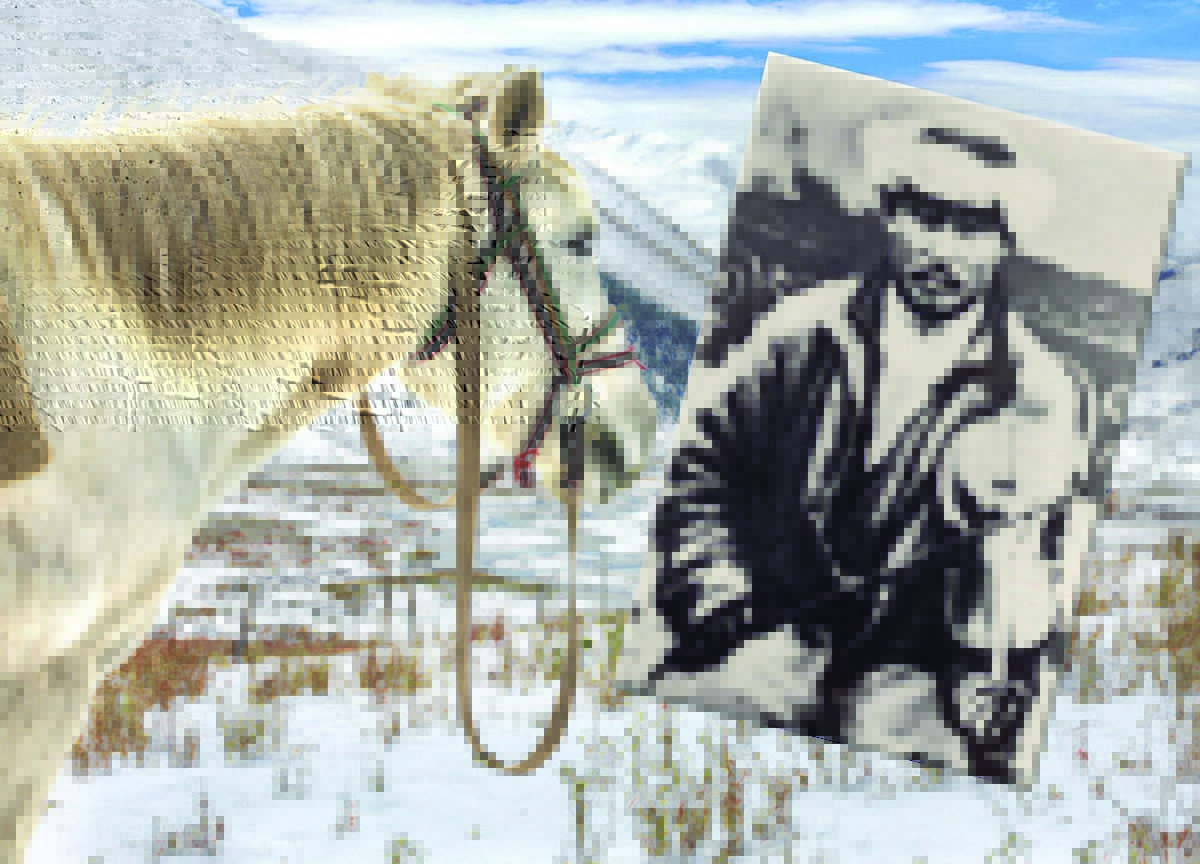 Жаяу Мұса