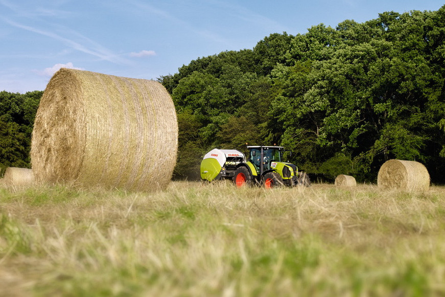 Жетісу шаруалары жем-шөп қорын дайындап жатыр