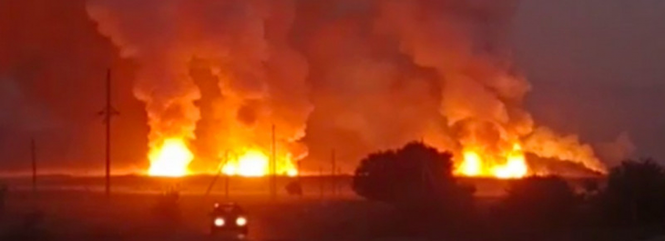 Жамбыл облысындағы жаралыстан қаза болғандардың саны 14-ке жетті