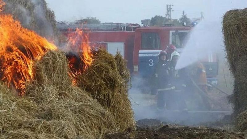 ШҚО-да 45 тонна шөп өртеніп кетті