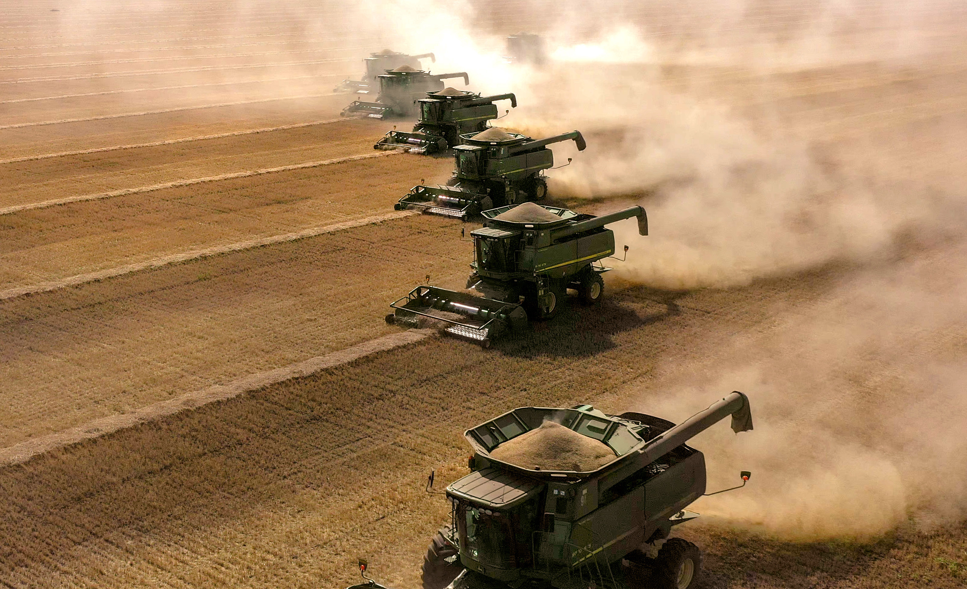 Агросектордағы аршынды қадамдар