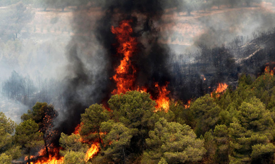 Испанияда орман өрті өршіп тұр