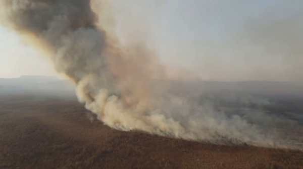 1,5 млн гектар орманды алқап күлге айналды