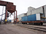 Түркияға 600 контейнер жасымық экпортталады