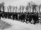 Германия концлагерінде қаза тапқан қазақстандық жауынгердің жақындары іздестірілуде